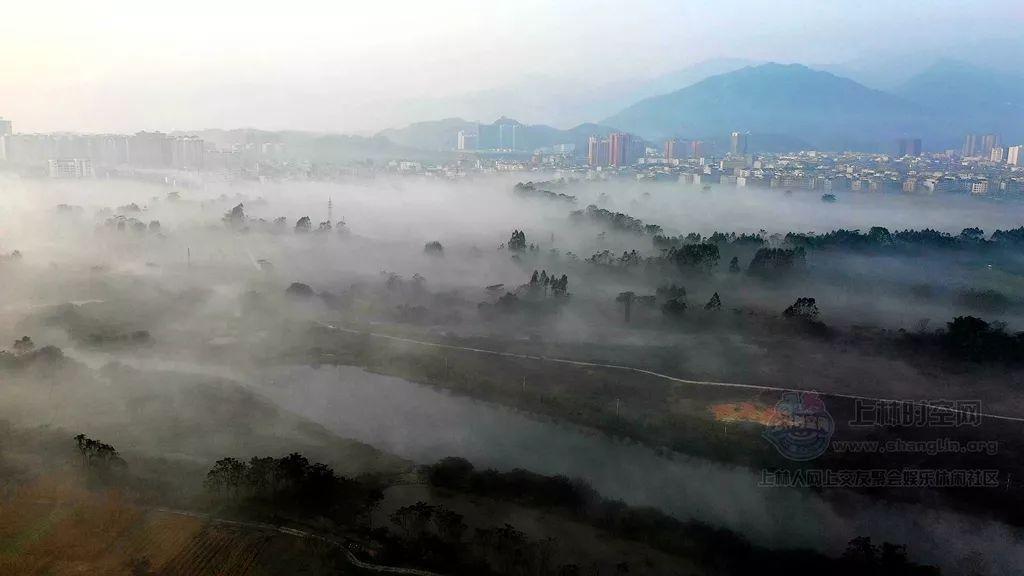 为什么会有人那么讨厌吃香菜？游戏画面