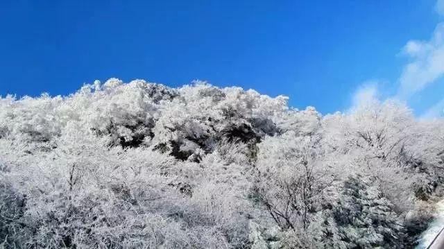 美人鱼的聚会