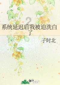 广东省江门市与巴西里约州马里卡市签署加强交流合作备忘录