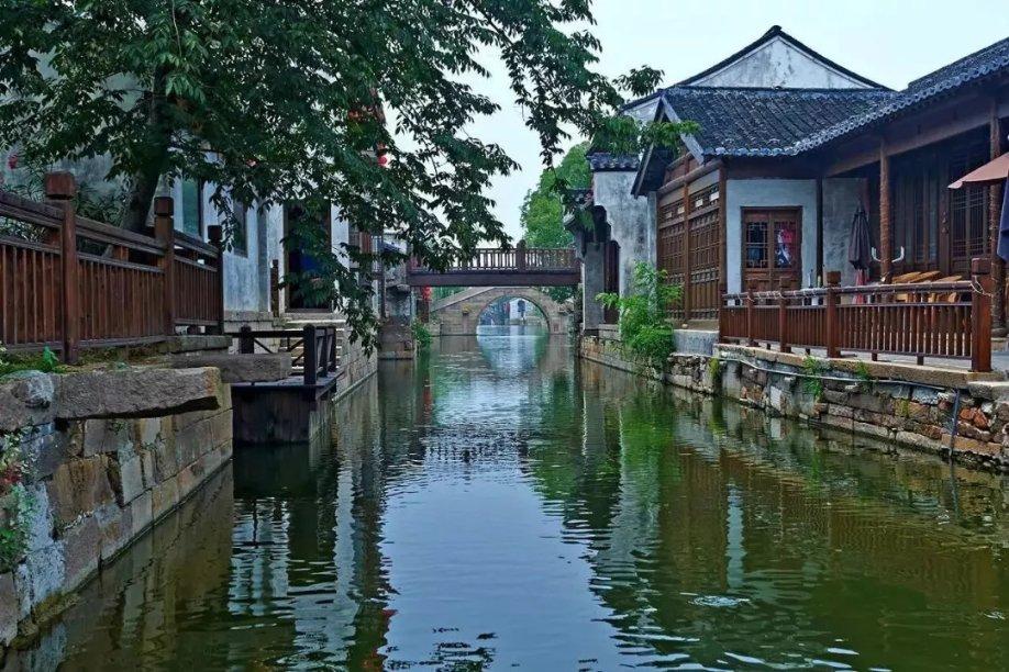 破碎的动物图形2